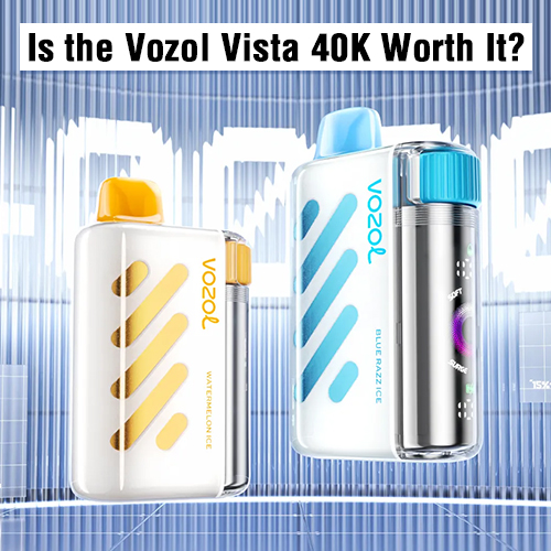 rezensionen für vozol vapes Vozol Vista Plug Basisgerät – 600 mAh Akku